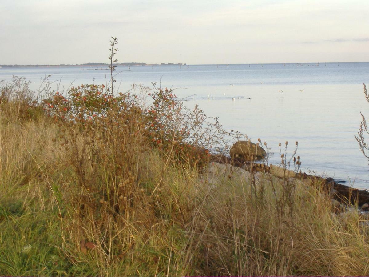 Ostseestrandhuus, Einzigartige Seelage Grossenbrode Ngoại thất bức ảnh